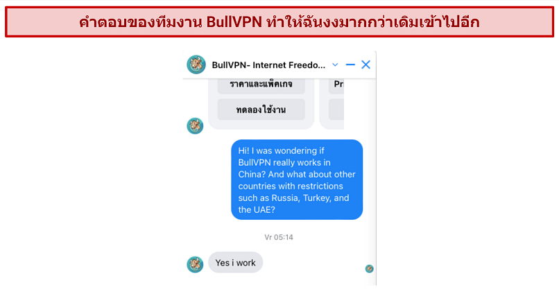 Screenshot of BullVPN's customer support
