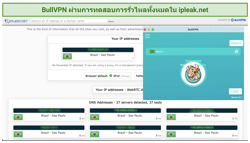 screenshot of BullVPN's leak tests
