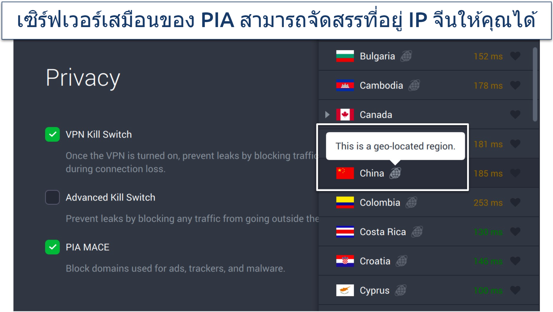 Screenshot of PIA's privacy settings and virtual servers in the app